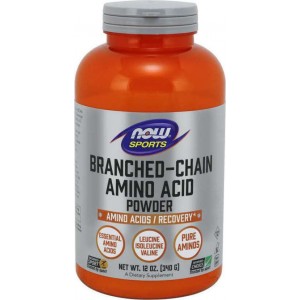 BCAA Αμινοξέα  Branched Chain Amino Acid Powder Now Sports 340g