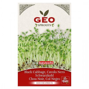Βιολογικοί σπόροι Μαύρης Λαχανίδας Kale για Φύτρα Geo Sprouter 6g