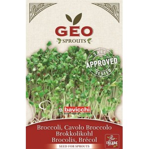 Βιολογικοί σπόροι Μπρόκολου για Φύτρα ( Broccoli) Geo Sprouter 13g