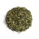 KUKICHA Βιoλογικό Ιαπωνικό πράσινο τσάι Moya 60g